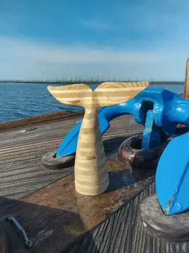  La Queue de Baleine Marinière Sapin