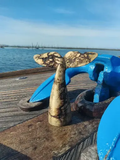  La Queue de Baleine Electrifiée