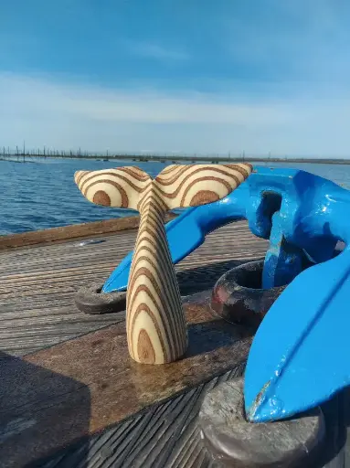  La Queue de Baleine Marbrée