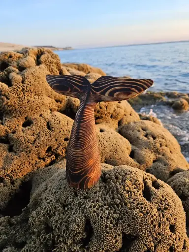  La Queue de baleine Brûlée