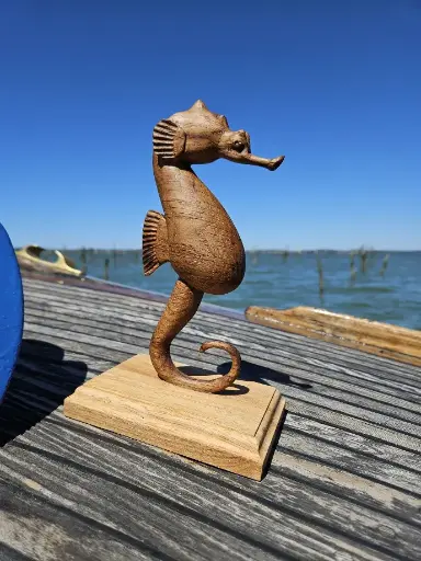 Hippocampe en Chêne